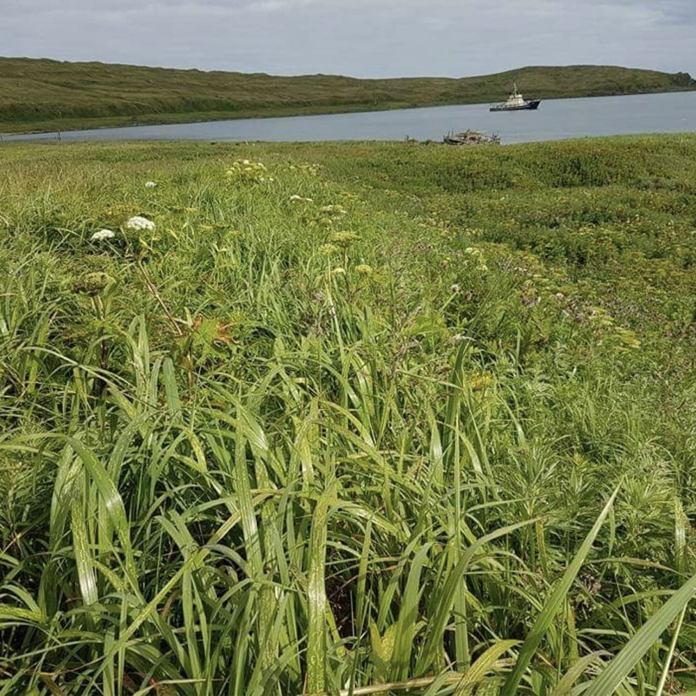 Sustainable Communities